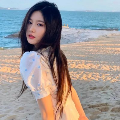 小狗吉米走私事件 海报
